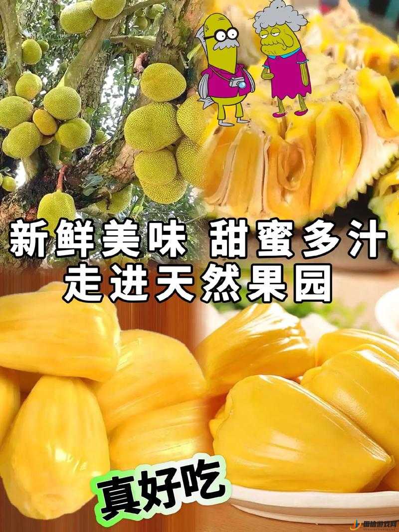 菠萝菠萝蜜免费高清在线视频：带你畅享精彩视觉盛宴